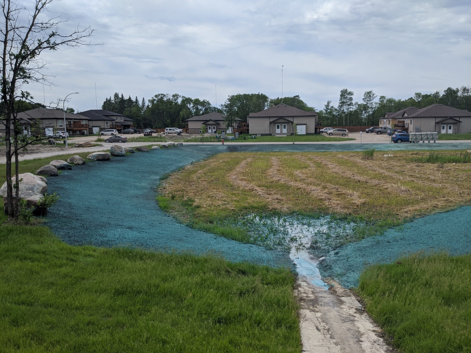 Hydroseeding Hydroseeding