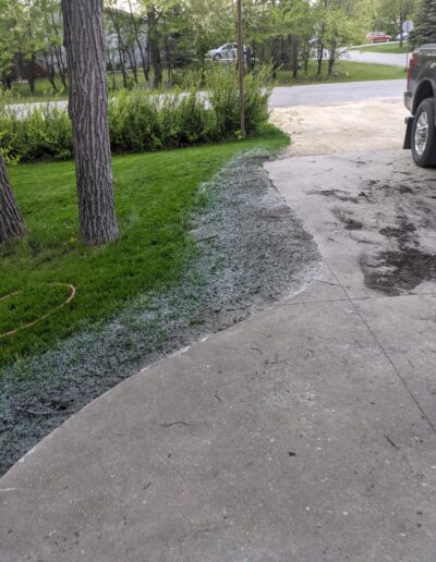 Grass - before