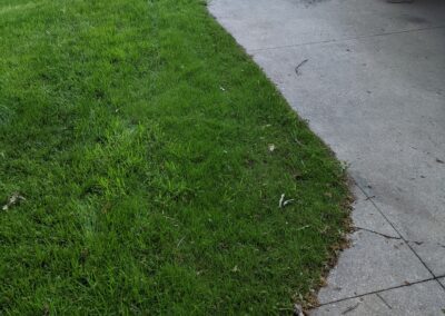 Grass - affer