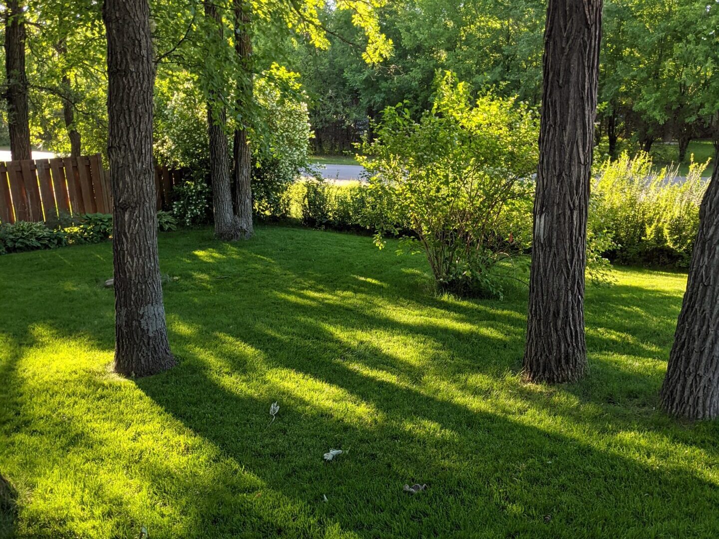 Hydroseeding